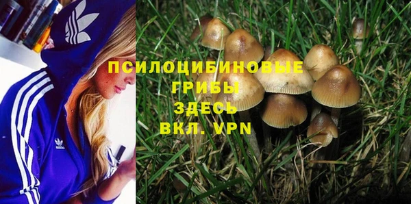 круглые Приозерск