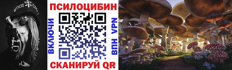 ссылка на мегу ТОР  Сурск  Псилоцибиновые грибы Psilocybine cubensis 
